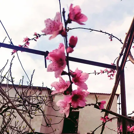 Relax Bed & Breakfast